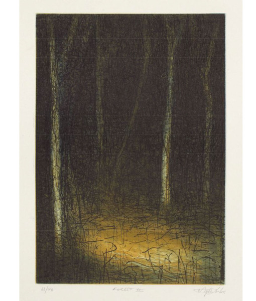 Stephen-Lawlor,-Forest-II,-Ltd-Ed-Etching-68—70,-19.5-x-28cm,–2008